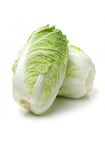 Насіння капусти пекінська Маноко Bejo Zaden (333035976)