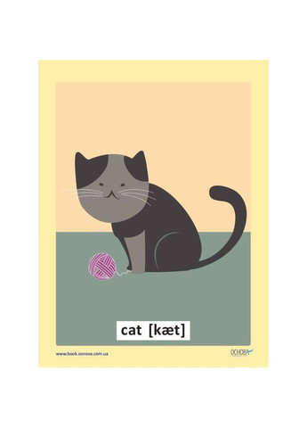 Демонстраційні флеш-картки Англійська мова ЗПП 051 двосторонні Ranok Creative (360899789)