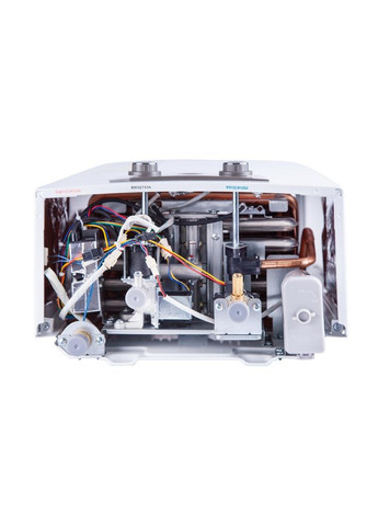 Газова колонка вертикальний димохідна 10 л EURO + JSD20-10N-QB. Thermo Alliance JSD2010NQBEUROPLUS (322127584)