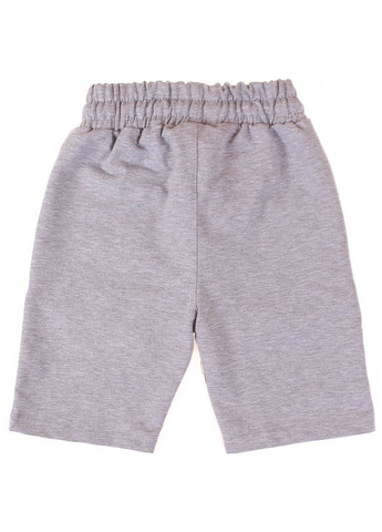 Шорты Y 0121 Меланжевый Joi (330170970)