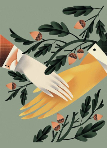 Книга Дубочек с войны. Иллюстрированные истории и сказки. Автор – Анна Осадко (ВСЛ) Видавництво Старого Лева (338867666)