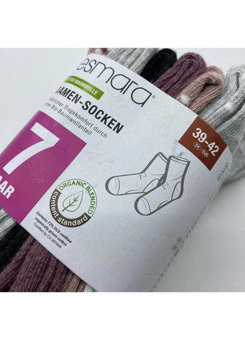 Сиреневые набор женских носков Esmara (356677003)