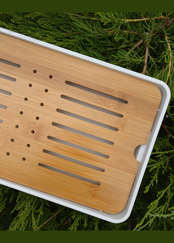 Чабань "Бамбук" Tea Dragon (341737915)