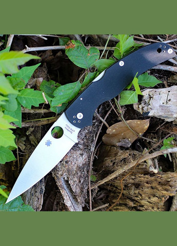 Складной нож Native Chef C244GP Spyderco (317306057)