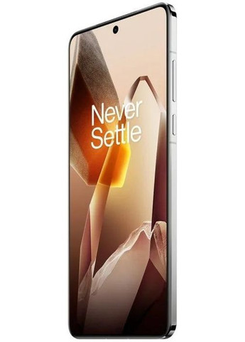 Смартфон 12/256GB (Global Version) OnePlus 13 (370708067)