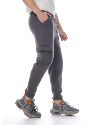 Темно-серые спортивные, кэжуал демисезонные брюки Intruder