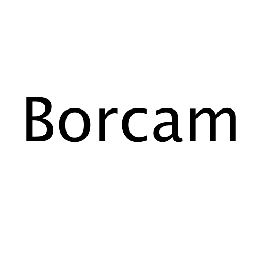 Логотип бренда Borcam