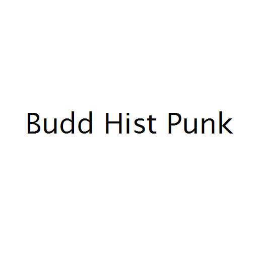 Budd Hist Punk