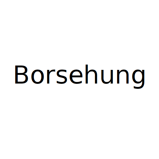 Логотип бренду Borsehung