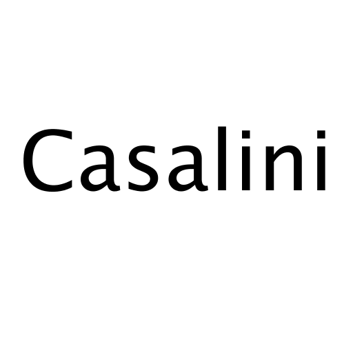Логотип бренду Casalini