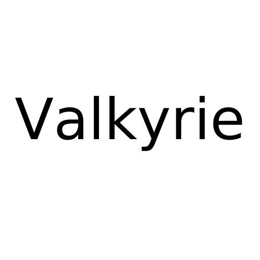 Логотип бренда Valkyrie