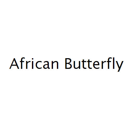 African Butterfly