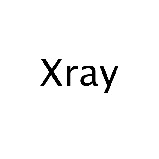 Логотип бренда Xray