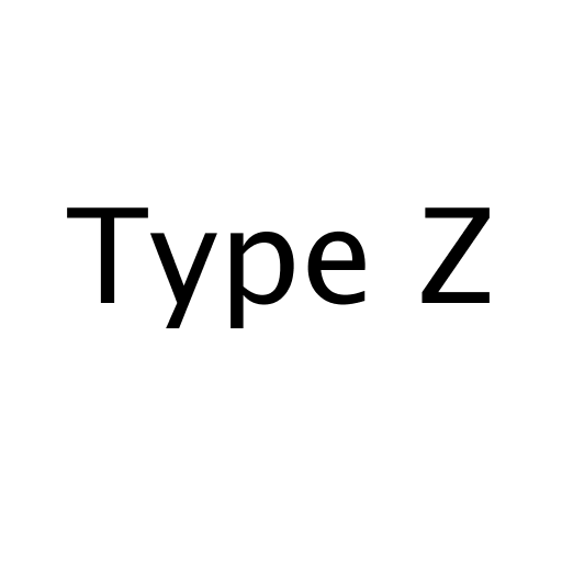 Логотип бренда Type Z