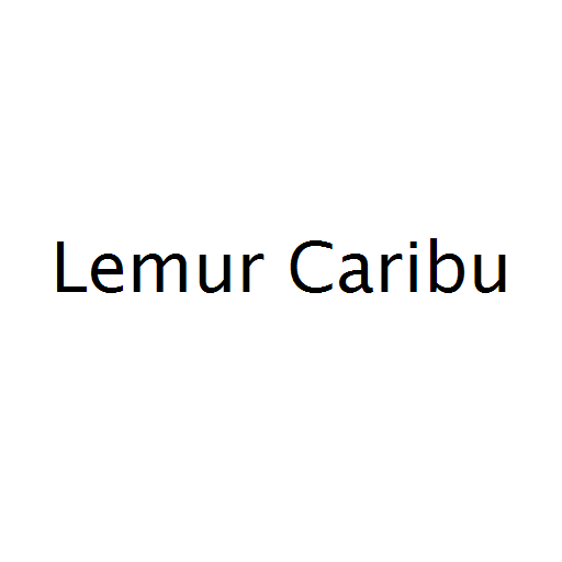Lemur Caribu