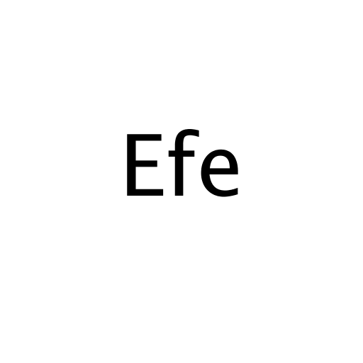 Логотип бренда Efe