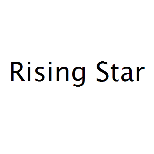 Логотип бренду Rising Star
