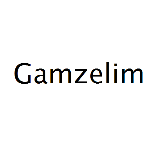 Логотип бренду Gamzelim