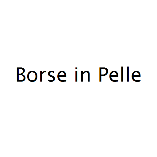 Логотип бренда Borse in Pelle