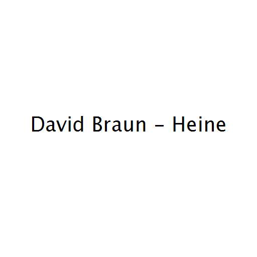 David Braun - Heine