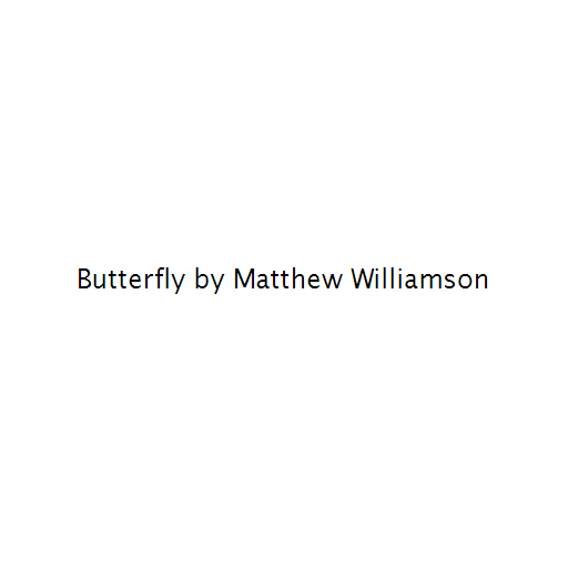 Butterfly by Matthew Williamson