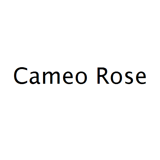Cameo Rose