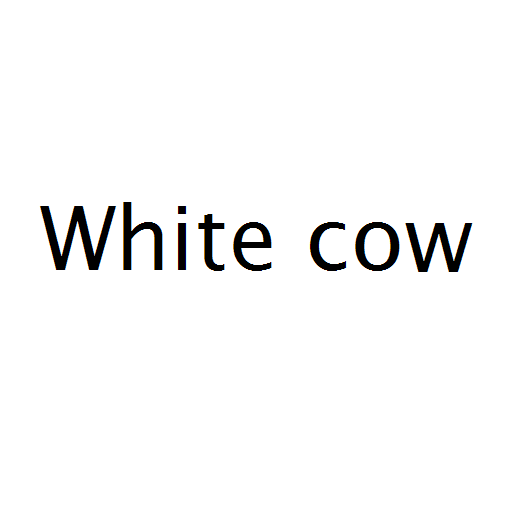 White cow