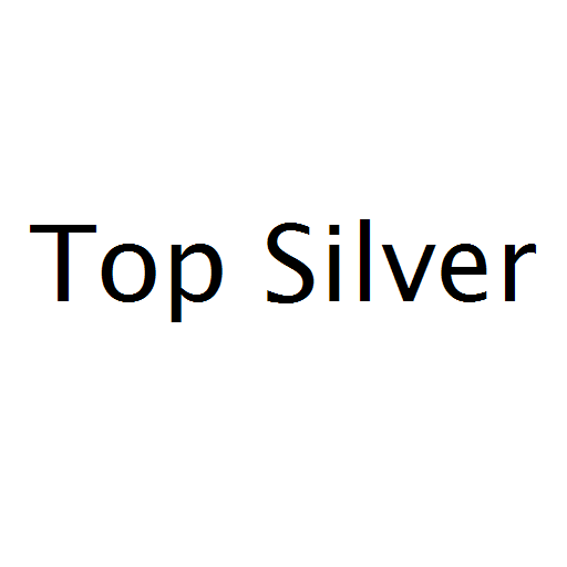 Логотип бренда Top Silver
