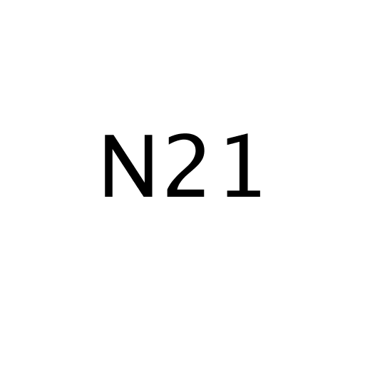 Логотип бренда N21