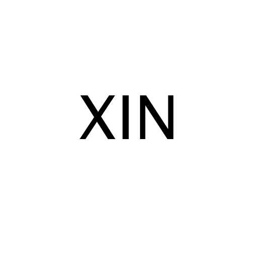 Логотип бренда XIN