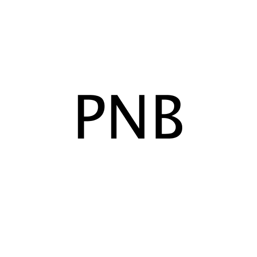 Логотип бренду PNB