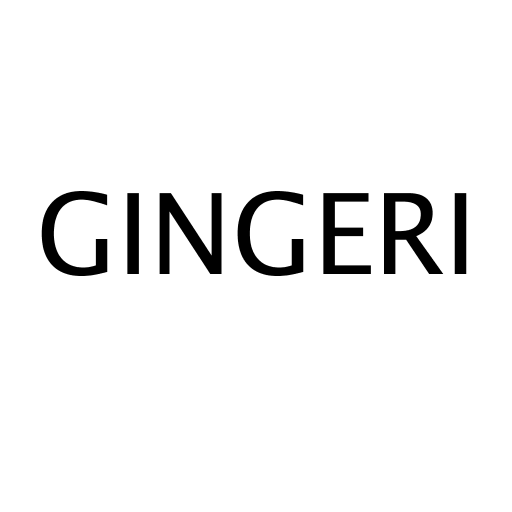 Логотип бренду GINGERI