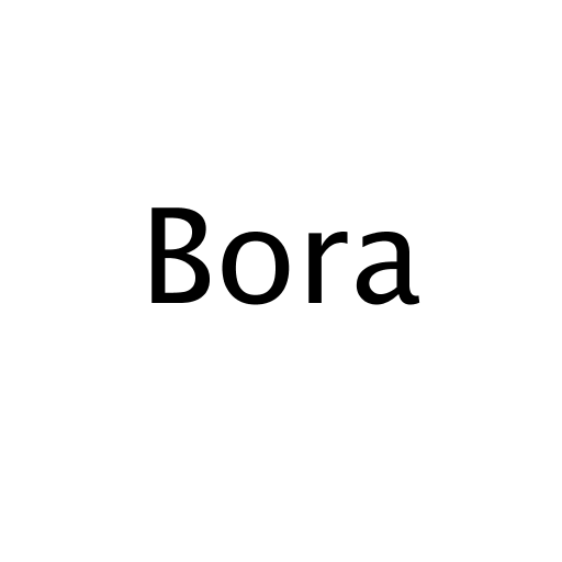 Логотип бренду Bora