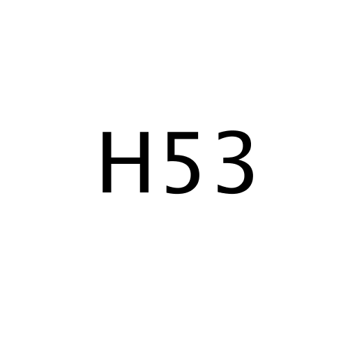 H53