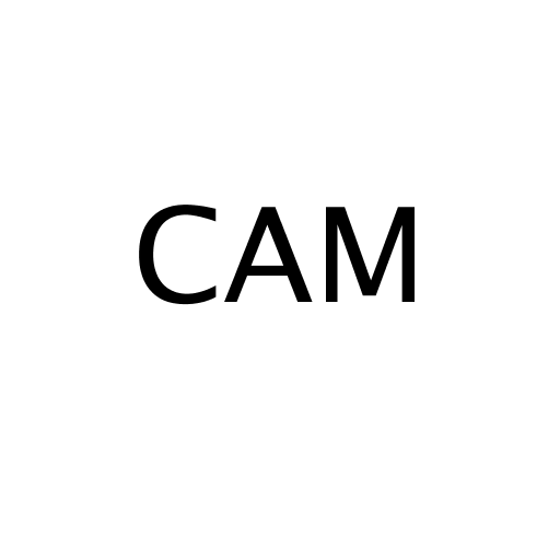 Логотип бренду CAM