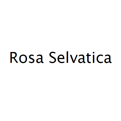 Логотип бренда Rosa Selvatica