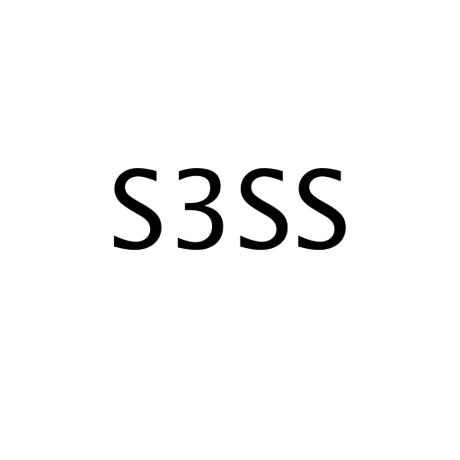 S3SS