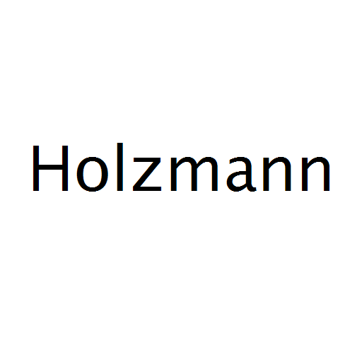 Логотип бренду Holzmann