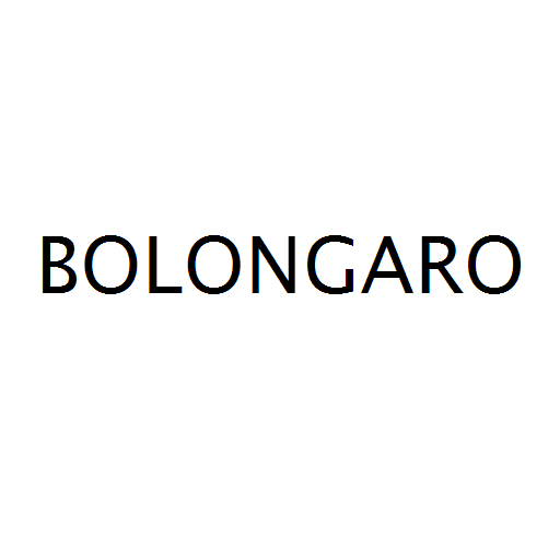 Логотип бренду BOLONGARO