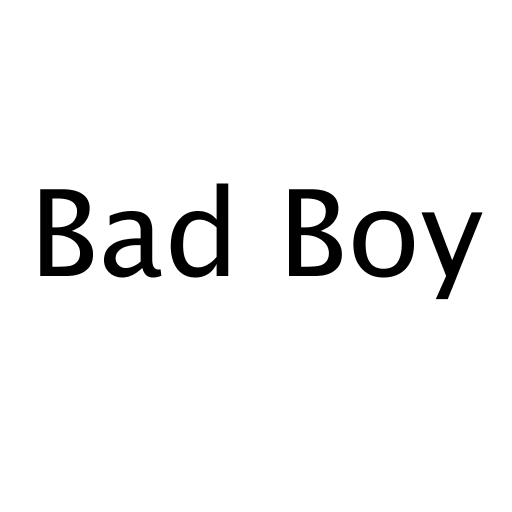 Логотип бренда Bad Boy