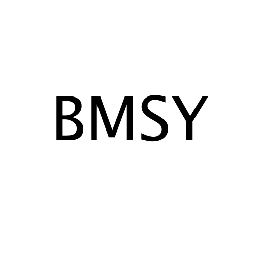 Логотип бренду BMSY