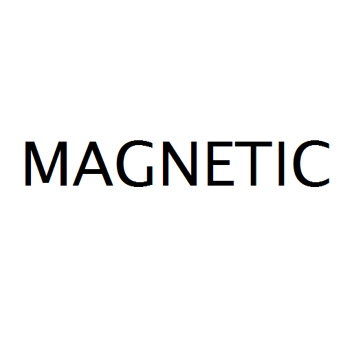 Логотип бренда MAGNETIC