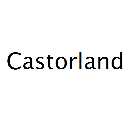 Логотип бренду Castorland