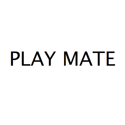 PLAY MATE