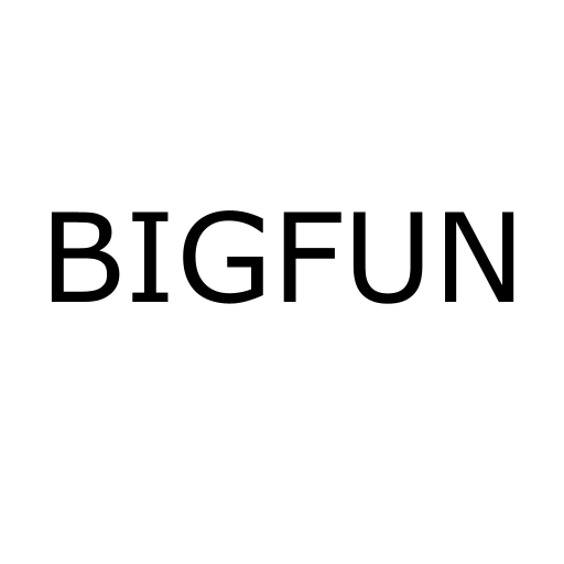 Логотип бренду BIGFUN
