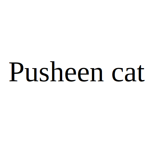 Pusheen cat
