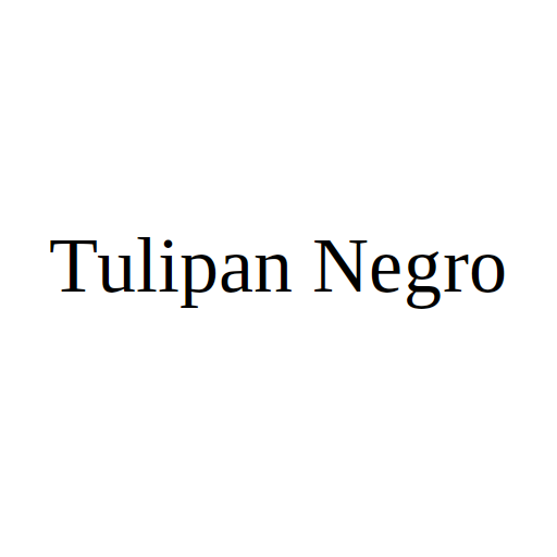Логотип бренду Tulipan Negro