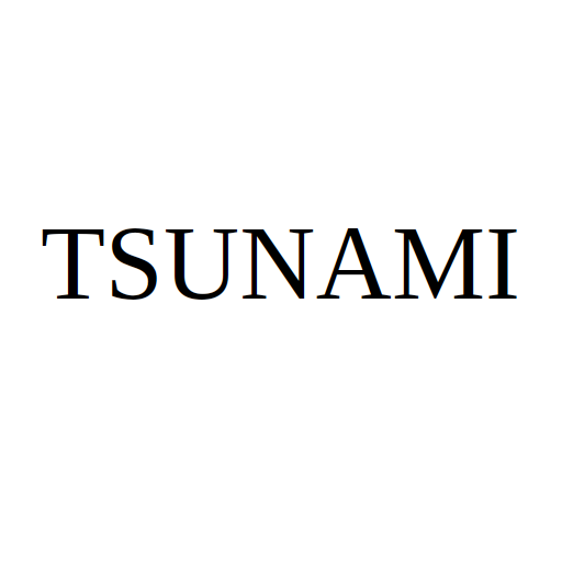 Логотип бренда TSUNAMI