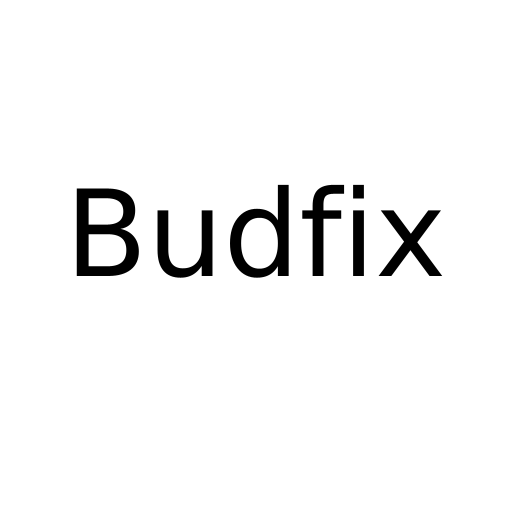 Логотип бренду Budfix