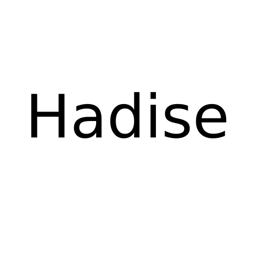 Логотип бренду Hadise